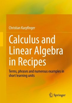 Calculus and Linear Algebra in Recipes (eBook, PDF) - Karpfinger, Christian