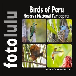 Birds of Peru (eBook, ePUB) - fotolulu, Sr.