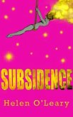 Subsidence (eBook, ePUB)