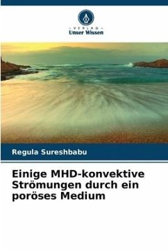 Einige MHD-konvektive Strömungen durch ein poröses Medium - Sureshbabu, Regula