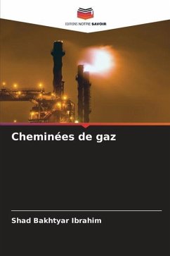 Cheminées de gaz - Bakhtyar Ibrahim, Shad