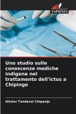 Uno studio sulle conoscenze mediche indigene nel trattamento dell'ictus a Chipinge