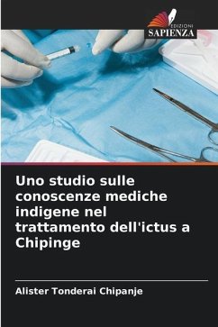 Uno studio sulle conoscenze mediche indigene nel trattamento dell'ictus a Chipinge - Chipanje, Alister Tonderai
