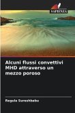 Alcuni flussi convettivi MHD attraverso un mezzo poroso