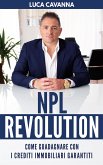 NPL Revolution (eBook, ePUB)
