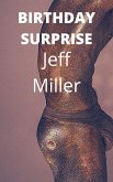 Birthday Surprise (eBook, ePUB)