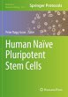 Human Naïve Pluripotent Stem Cells - Bild 1