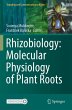 Rhizobiology: Molecular Physiology of... - Bild 1