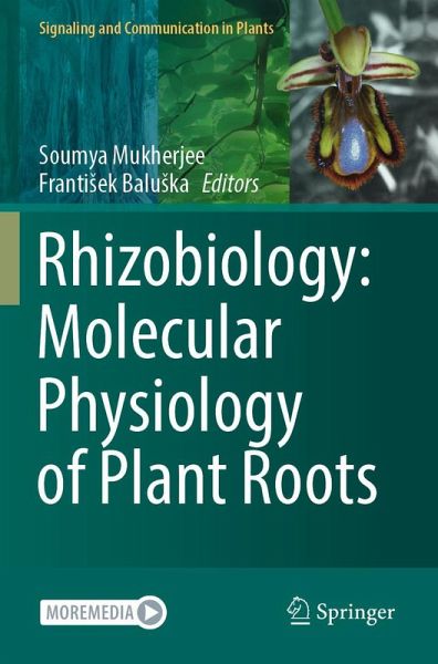 Rhizobiology: Molecular Physiology of Plant Roots Rhizobiology: Molecular Physiology of Plant Roots