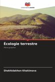 Écologie terrestre