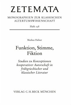 Funktion, Stimme, Fiktion - Hafner, Markus