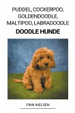 Puddel, Cockerpoo, Goldendoodle, Maltipoo, Labradoodle (Doodle Hunde)