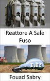 Reattore A Sale Fuso (eBook, ePUB)