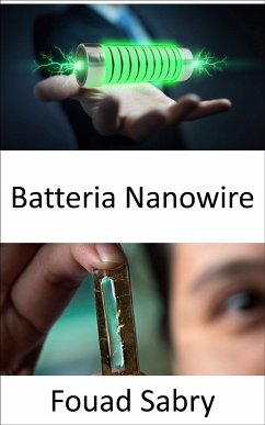 Batteria Nanowire (eBook, ePUB) - Sabry, Fouad