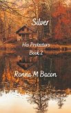 Silver (eBook, ePUB)