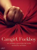 Camgirl, Fuckboy en andere opwindende korte erotische verhalen (eBook, ePUB)