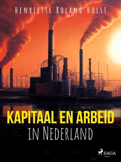 Kapitaal en arbeid in Nederland (eBook, ePUB) - Holst, Henriette Roland
