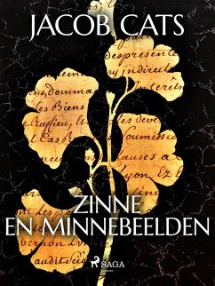 Cover Zinne en Minnebeelden (eBook, ePUB)
