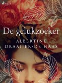 De gelukzoeker (eBook, ePUB)