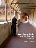 One Day in Pavia (eBook, ePUB)