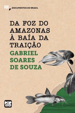 Cover Da foz do Amazonas à Baía da traição (eBook, ePUB)