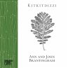 Kitkitdizzi (eBook, ePUB) - Bild 1
