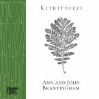 Kitkitdizzi (eBook, ePUB)