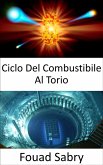 Ciclo Del Combustibile Al Torio (eBook, ePUB)
