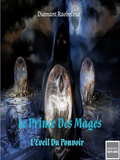 Le Prince Des Mages (eBook, ePUB)