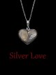 Silver Love (eBook, ePUB) - Bild 1