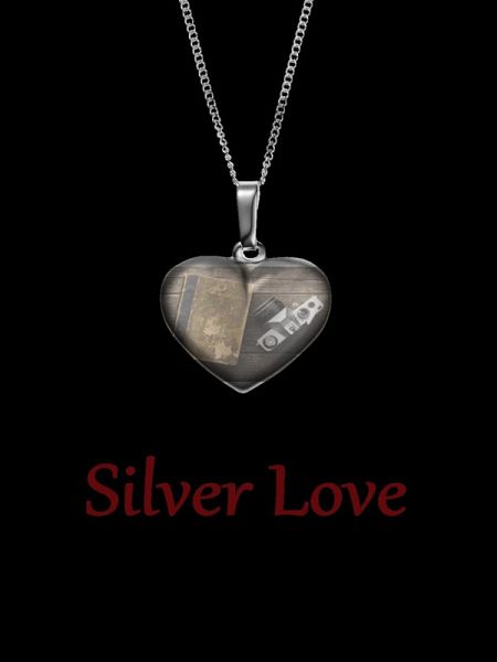 Silver Love (eBook, ePUB)