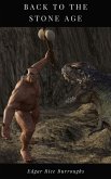 Back to the Stone Age (eBook, ePUB)