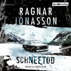 Schneetod / Dark Iceland Bd.5 (MP3-Download)