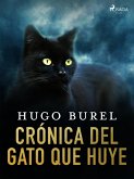 Crónica del gato que huye (eBook, ePUB)