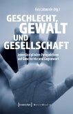 Geschlecht, Gewalt und Gesellschaft (eBook, PDF)