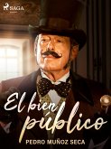 El bien público (eBook, ePUB)