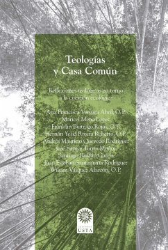 Cover Teologías y Casa Común. (eBook, ePUB)