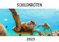 Cover Schildkröten