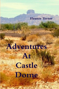 Adventures At Castle Dome - Turner, Eleanor