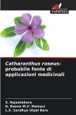 Catharanthus roseus: probabile fonte di applicazioni medicinali