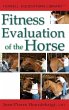 Fitness Evaluation of the Horse - Bild 1