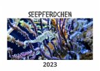 Seepferdchen