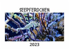 Cover Seepferdchen