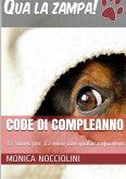 Code di compleanno - 12 storie per 12 mesi su qualazampa.news