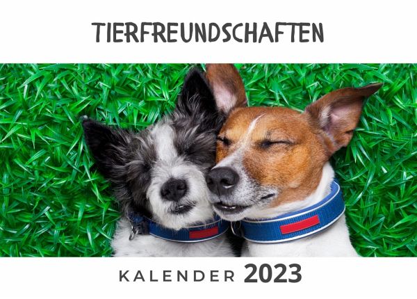 Tierfreundschaften