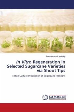 In Vitro Regeneration in Selected Sugarcane Varieties via Shoot Tips