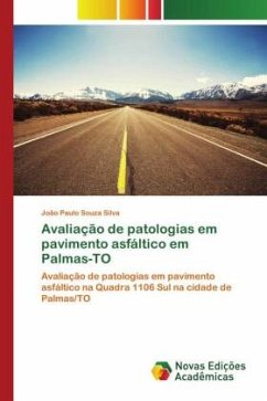 Avaliação de patologias em pavimento asfáltico em Palmas-TO - Souza Silva, João Paulo