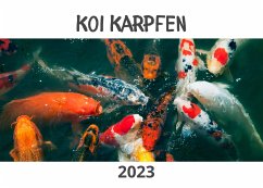 Koi-Karpfen - Hübsch, Bibi