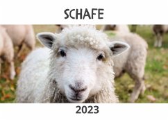 Cover Schafe