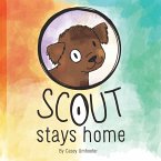 Scout Stays Home